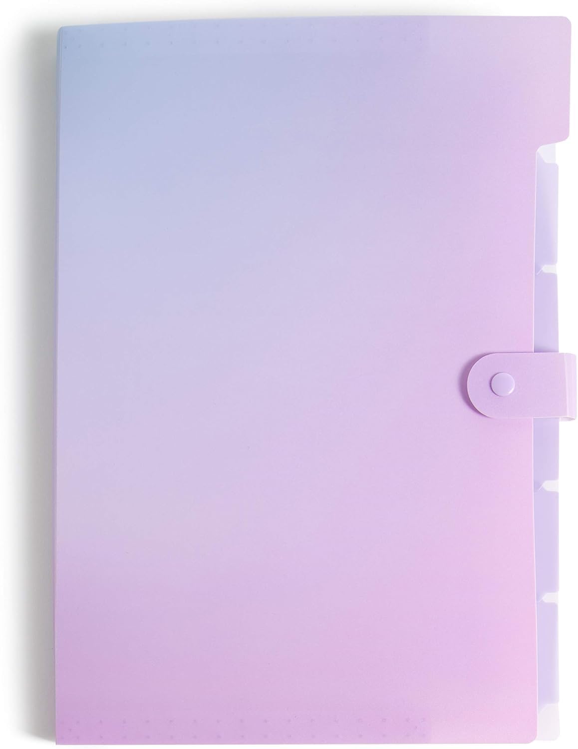 Amazon.com : U Brands Fashion Expanding File Folder, Poly 5-Pocket